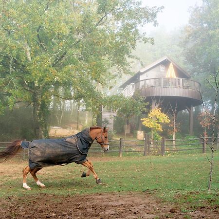 Cabane De La Mesange Auriac-du-Périgord Екстериор снимка