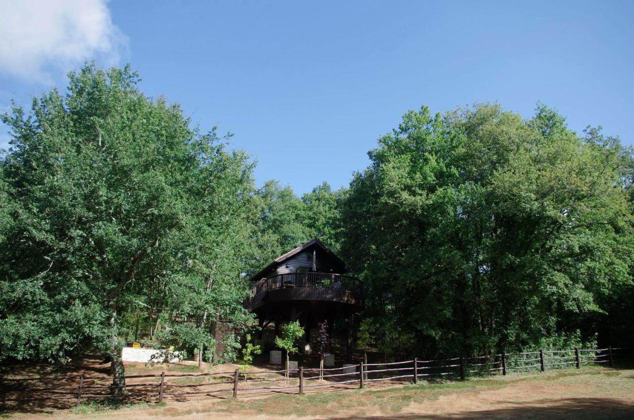 Cabane De La Mesange Auriac-du-Périgord Екстериор снимка