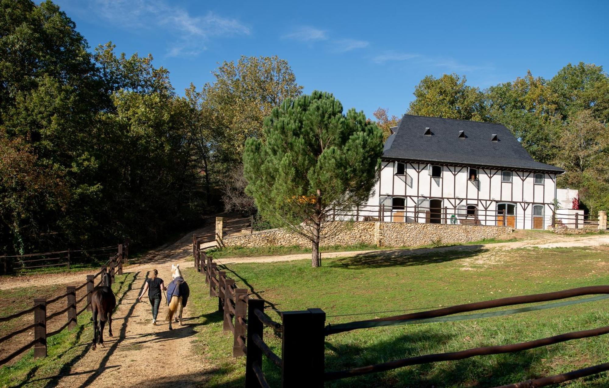 Cabane De La Mesange Auriac-du-Périgord Екстериор снимка